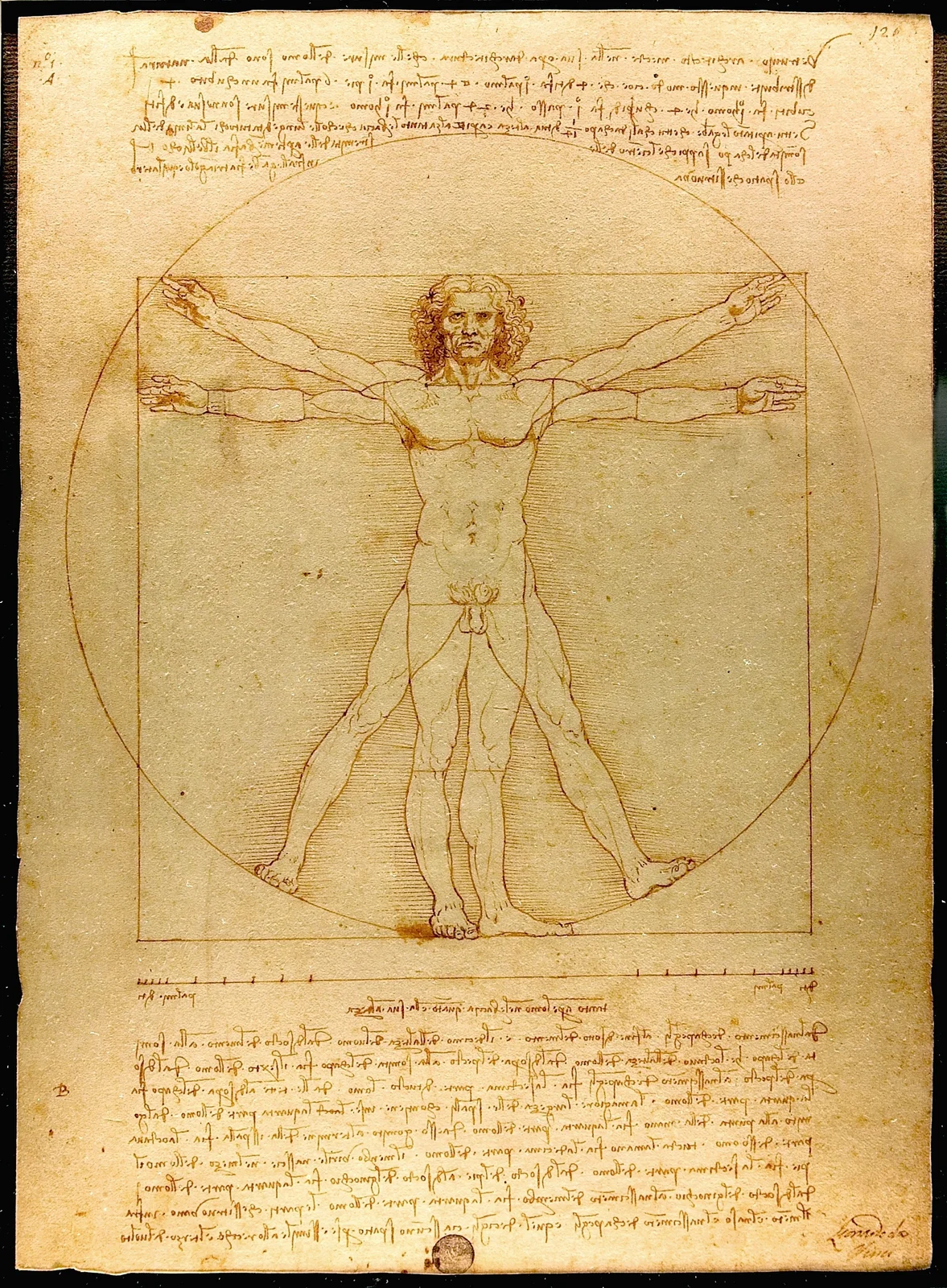 Leonardo da Vinci's Vitruvian Man, a study of human proportion